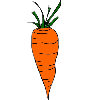 Karotten